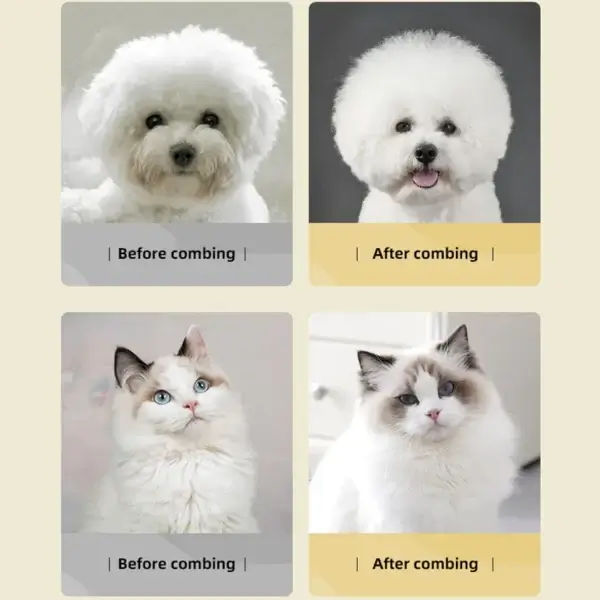 Dog Clippers - Comb for Cats & Dogs, Teddy Bichon Use - Image 3