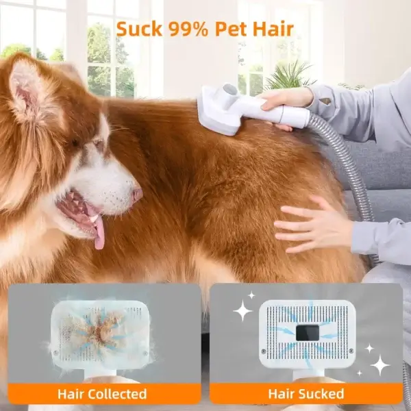 Dog Clippers Kit, 6 Tools, Vacuum Suction & Dryer 2-in-1 - Image 3