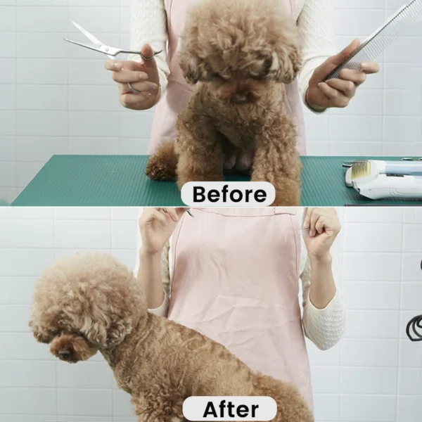 Dog Clippers Professional High Power Low Noise - Image 5